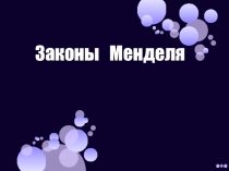 Законы Менделя (презентация по биологии)