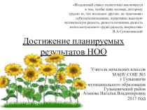 Достижение планируемых результатов НОО