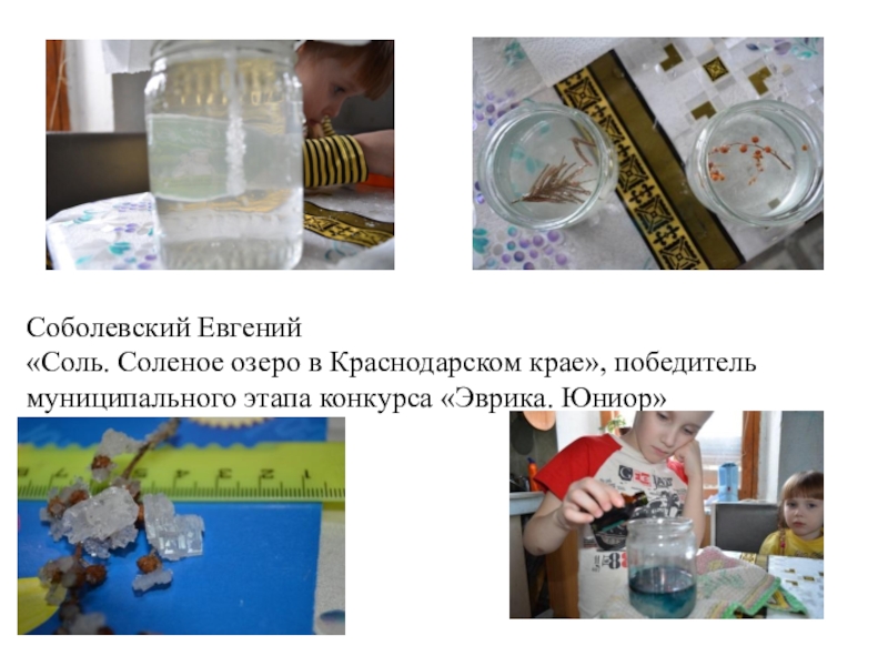 Достижение планируемых результатов НОО Соболевский Евгений «Соль. Соленое озеро в Краснодарском крае», победитель муниципального этапа конкурса «Эврика. Юниор» Соболевский Евгений «Соль. Соленое озеро в Краснодарском крае», победитель муниципального этапа конкурса «Эврика. Юниор»