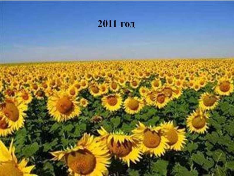 Достижение планируемых результатов НОО 2011 год 2011 год