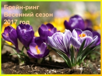 Брейн-ринг для команд старшеклассников и учителей