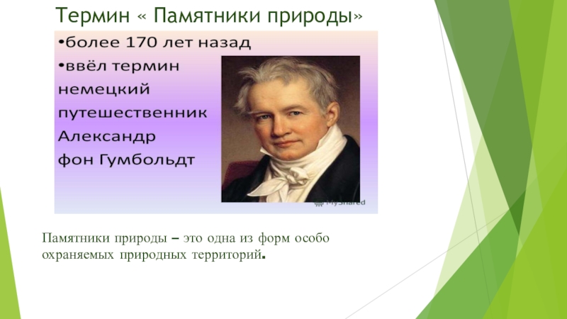 Памятники природы Володарского района Нижегородской области. Арутюнян Наташа 3б класс. Термин « Памятники природы»Памятники природы – это одна из форм особо охраняемых природных территорий. Термин « Памятники природы»Памятники природы – это одна из форм особо охраняемых природных территорий.