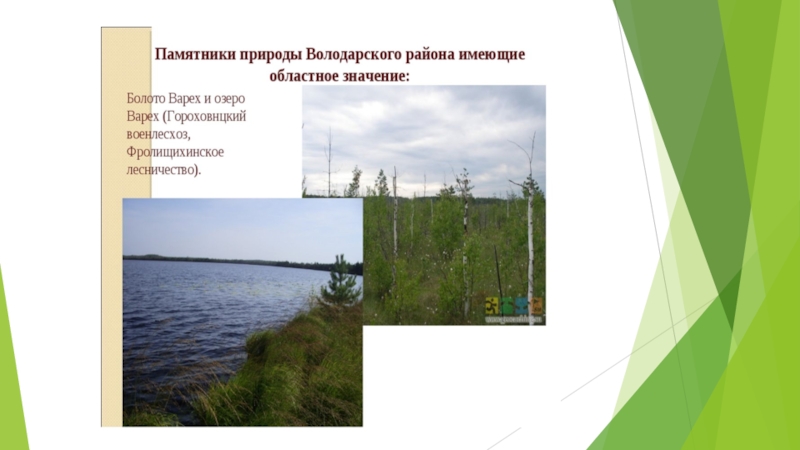Памятники природы Володарского района Нижегородской области. Арутюнян Наташа 3б класс.