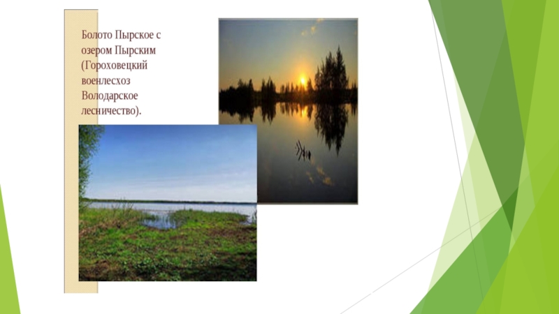 Памятники природы Володарского района Нижегородской области. Арутюнян Наташа 3б класс.
