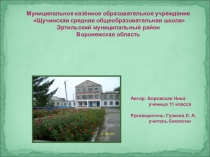 Презентация по биологии к проекту Выращивание овощных культур с применением растений – фитонцидов