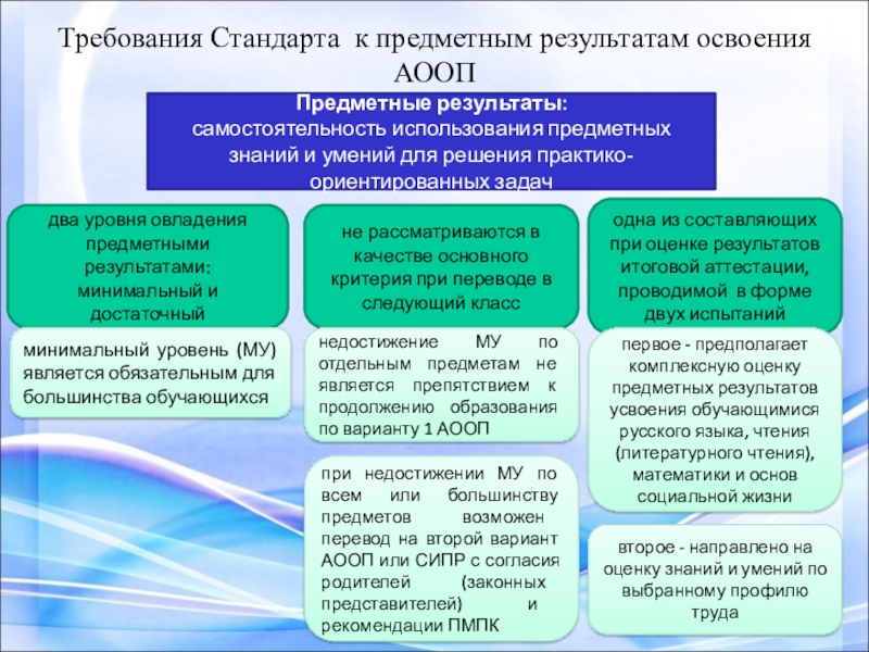 Предметные результаты освоения. Уровни овладения предметными результатами. АООП требования к результатам освоения. Требования стандарта к предметным результатам. Достаточный и минимальный уровень АООП\.