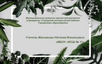 Презентация по русскому языку Склонение имен прилагательных. Природа и человек. Охрана лесов. Роль леса в природе и жизни человека.
