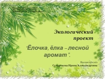 Презентация экологического проекта Ёлочка, ёлка - лесной аромат.