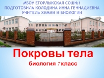 Презентация для проведения урока биологии на тему Покровы тела (7 класс)