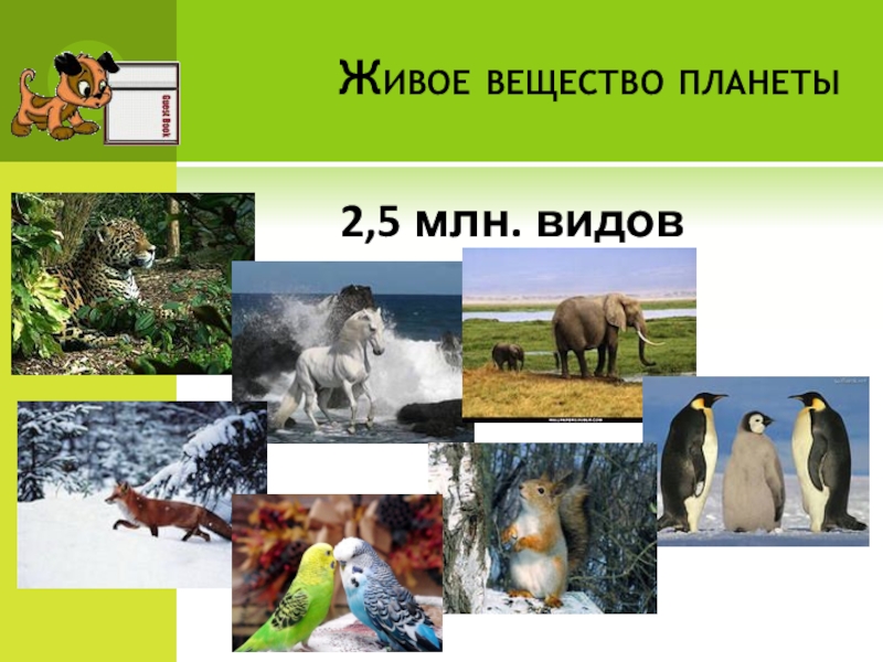 Живое вещество. Живое вещество планеты. Живое вещество это в экологии. Живое вещество фото.