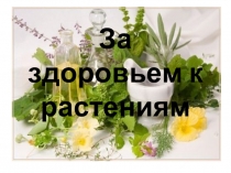 Презентация За здоровьем к растениям  2 класс