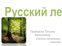 Презентация по окружающему миру