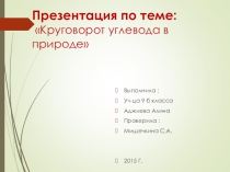 Круговорот углерода в природе
