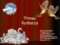 Презентация по биологии на тему Птицы Кузбасса