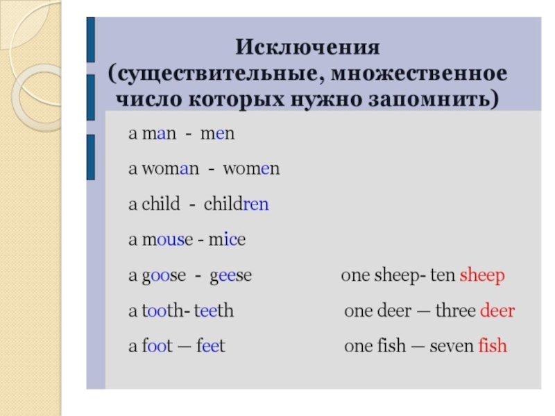 Презентация по английскому языку на тему Множественное число имен существительных