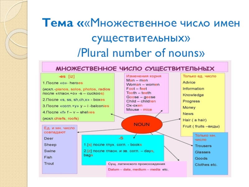 Презентация по английскому языку на тему Множественное число имен существительных Тема ««Множественное число имен существительных» /Plural number of nouns» Тема ««Множественное число имен существительных» /Plural number of nouns»