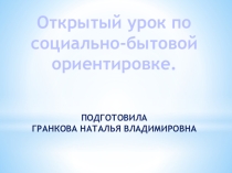 Презентация по социально-бытовой ориентировке на тему Виды транспорта.