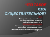 Презентация по русскому языку на тему  Что такое имя существительное? (2 класс)