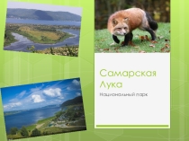 Презентация по окружающему миру Самарская Лука(начальные классы)
