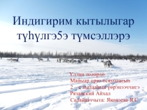 Презентация по североведению Индигирим кытылыгар туьулгэ5э мусталлара (2 класс)