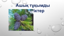 Биология. 6сынып. Ашықтұқымдастар. Презентация.