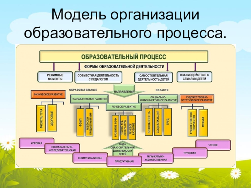 Требования предъявляемые к современной образовательной деятельности в ДОУ Модель организации образовательного процесса. Модель организации образовательного процесса.