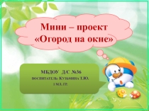Проект  Огород на окне