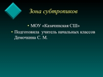 Зона субтропиков