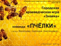 Презентация к конкурсу, представление команды