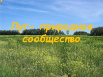 Презентация по окружающему миру Луг