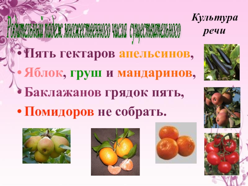 Презентация по курсу практической грамотности для старшеклассников (подготовка к ЕГЭ) Пять гектаров апельсинов,Яблок, груш и мандаринов,Баклажанов грядок пять,Помидоров не собрать.Культура Пять гектаров апельсинов,Яблок, груш и мандаринов,Баклажанов грядок пять,Помидоров не собрать.Культура речиРодительный падеж множественного числа существительного