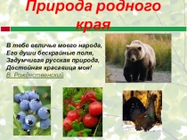 Презентация Природа Шахунского района Нижегородской области