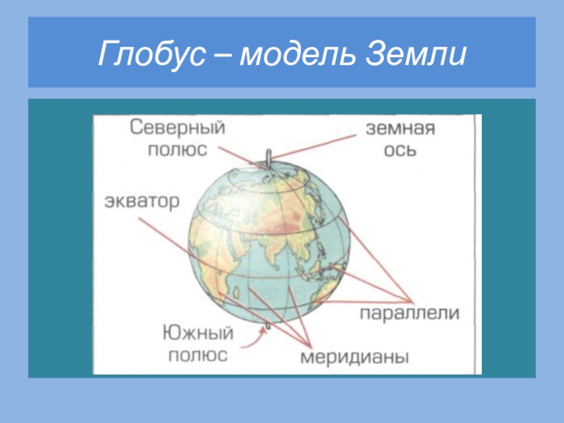 Какой цифрой на рисунке обозначен экватор