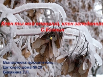 Презентация: Клён ты мой опавший, клён заледенелый С. Есенин 7 класс
