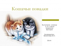 Проектная работа на тему Кошачьи повадки