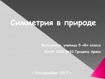 Презентация по теме Симметрия в природе