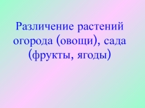 Различение растений огорода (овощи), сада (фрукты, ягоды)