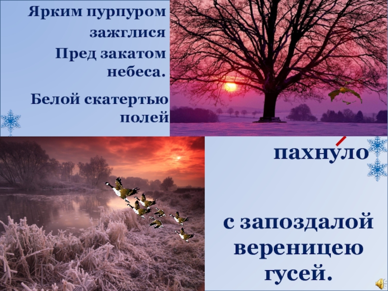 Презентация по развитию речи 8 вид на тему И.А. Бунин Первый снег (5 класс) пахнулоБелой скатертью полейЯрким пурпуром зажглисяПред закатом небеса.с запоздалой вереницею гусей. пахнулоБелой скатертью полейЯрким пурпуром зажглисяПред закатом небеса.с запоздалой вереницею гусей.