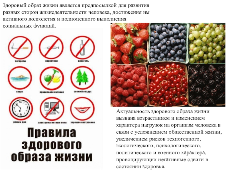 Презентация Своё здоровье надо беречь собственными усилиями. Если ты не готов изменить свою жизнь, тебе невозможно помочь Гиппократ . Здоровый образ жизни является предпосылкой для развития разных сторон жизнедеятельности человека, Здоровый образ жизни является предпосылкой для развития разных сторон жизнедеятельности человека, достижения им активного долголетия и полноценного