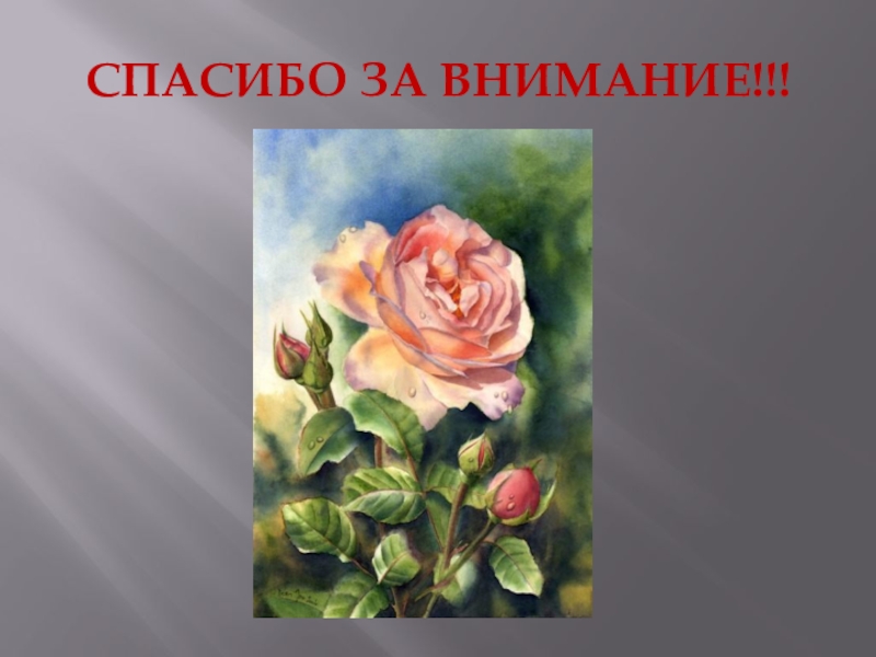 Презентация Кирилл и Мефодий СПАСИБО ЗА ВНИМАНИЕ!!! СПАСИБО ЗА ВНИМАНИЕ!!!