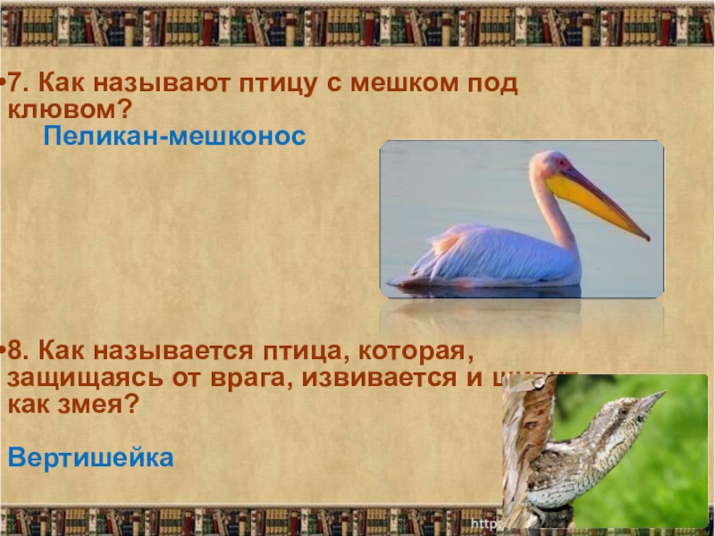 Бианки в. Мужчина с голубями. Как старик назвал птицу. План по чтению 4 класс приёмыш мамин сибиряк. Вопросы по сказке приемыш.