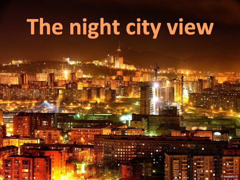 Детский проект The Sun of Siberia tour agency The night city view The night city view