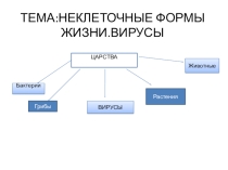 Урок презентация на тему неклеточные формы жизни -Вирусы