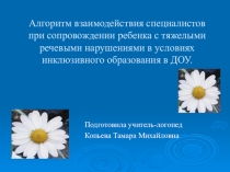 Алгоритм взаимодействия специалистов при сопровождении ребенка с тяжелыми речевыми нарушениями в условиях инклюзивного образования в ДОУ.