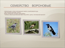 Презентация