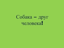 Презентация к уроку природоведения в 5 классе специальной (коррекционной) школы для обучающихся с умственной отсталостью по теме Собаки