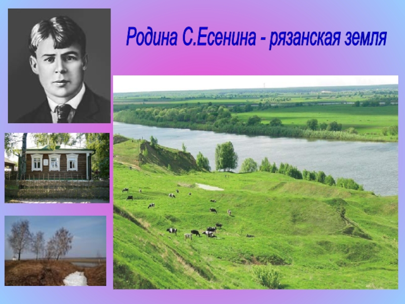 Презентация по литературному чтению на тему Лебёдушка С.А.Есенин (4 класс) Родина С.Есенина - рязанская земля Родина С.Есенина - рязанская земля