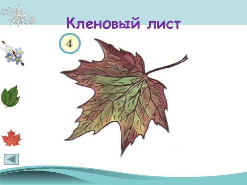 Презентация состоит из кадров листов рисунков слайдов