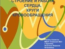 Презентация по биологии Строение и работа сердца. Круги кровообращения