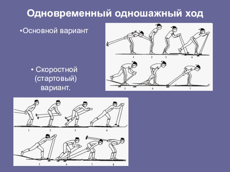 Лыжи презентация по физкультуре 11 класс